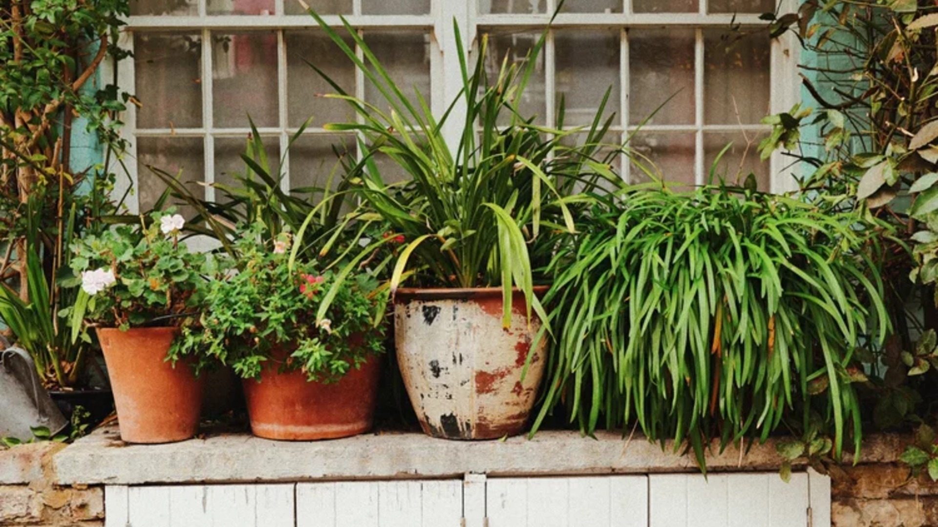 应用 LUT 后预览