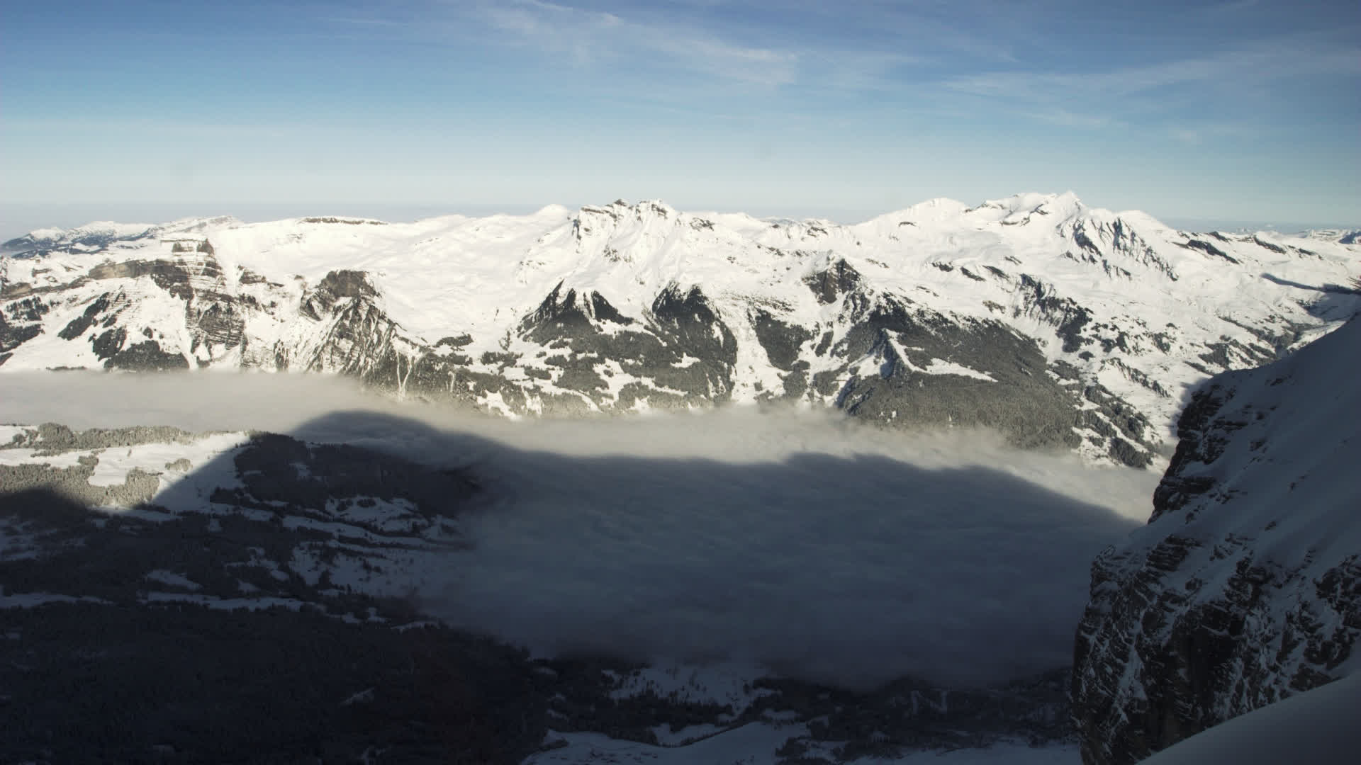 应用 LUT 后预览