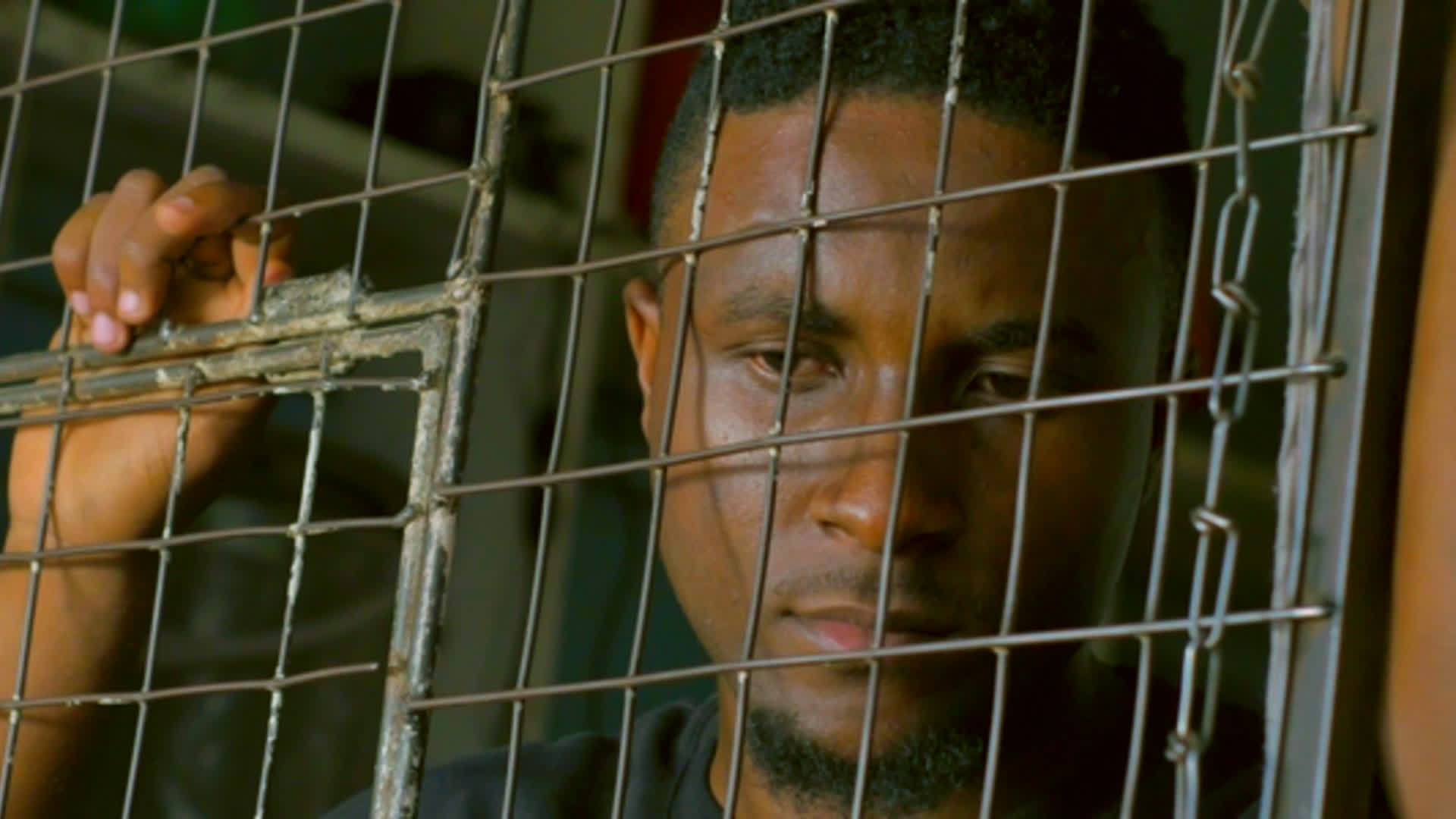 应用 LUT 后预览