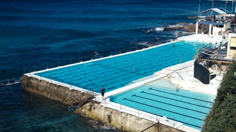 kodak 2383 偏冷 色温6500k