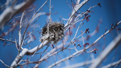 复古去色暗蓝色