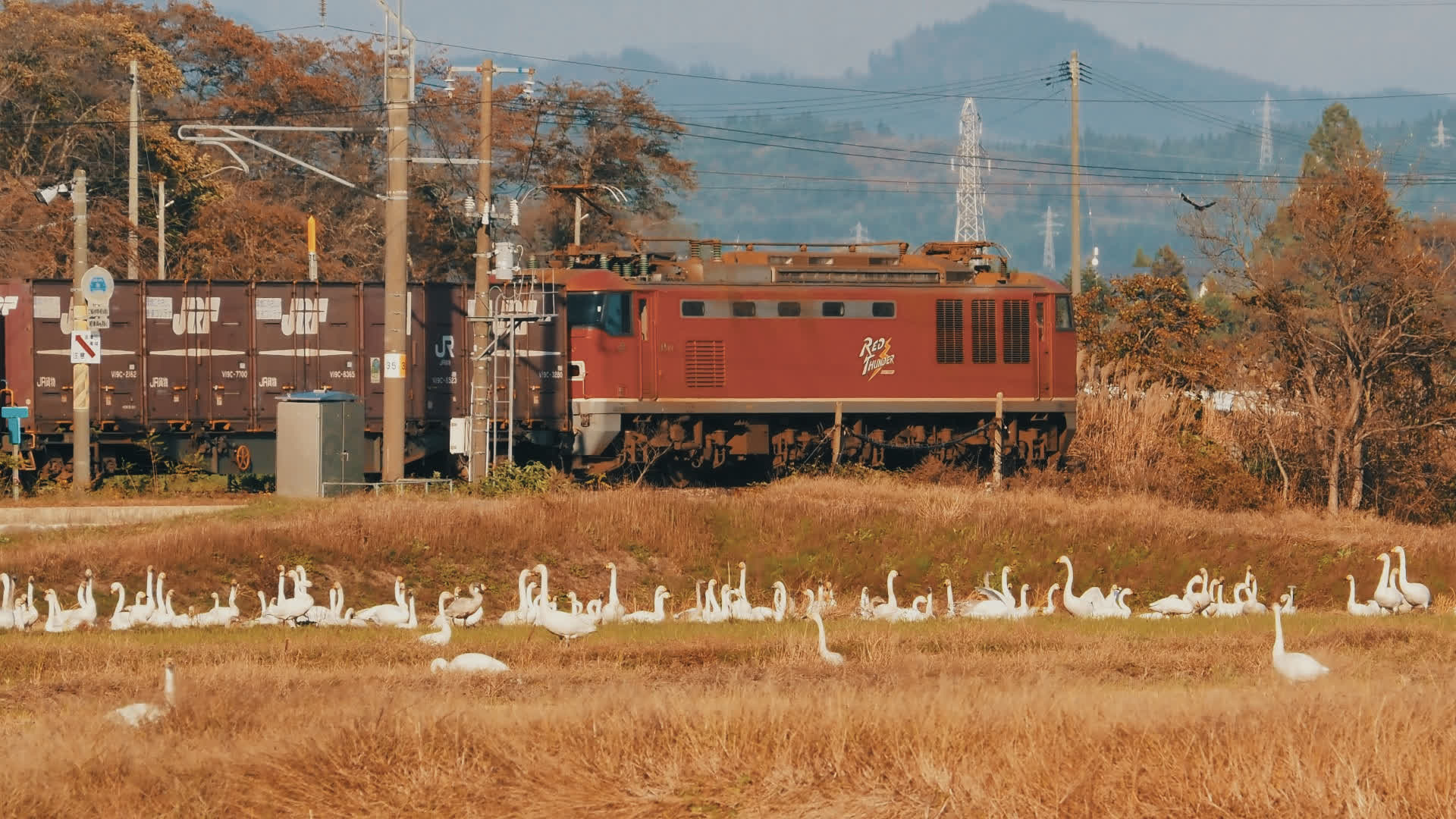 应用 LUT 后预览