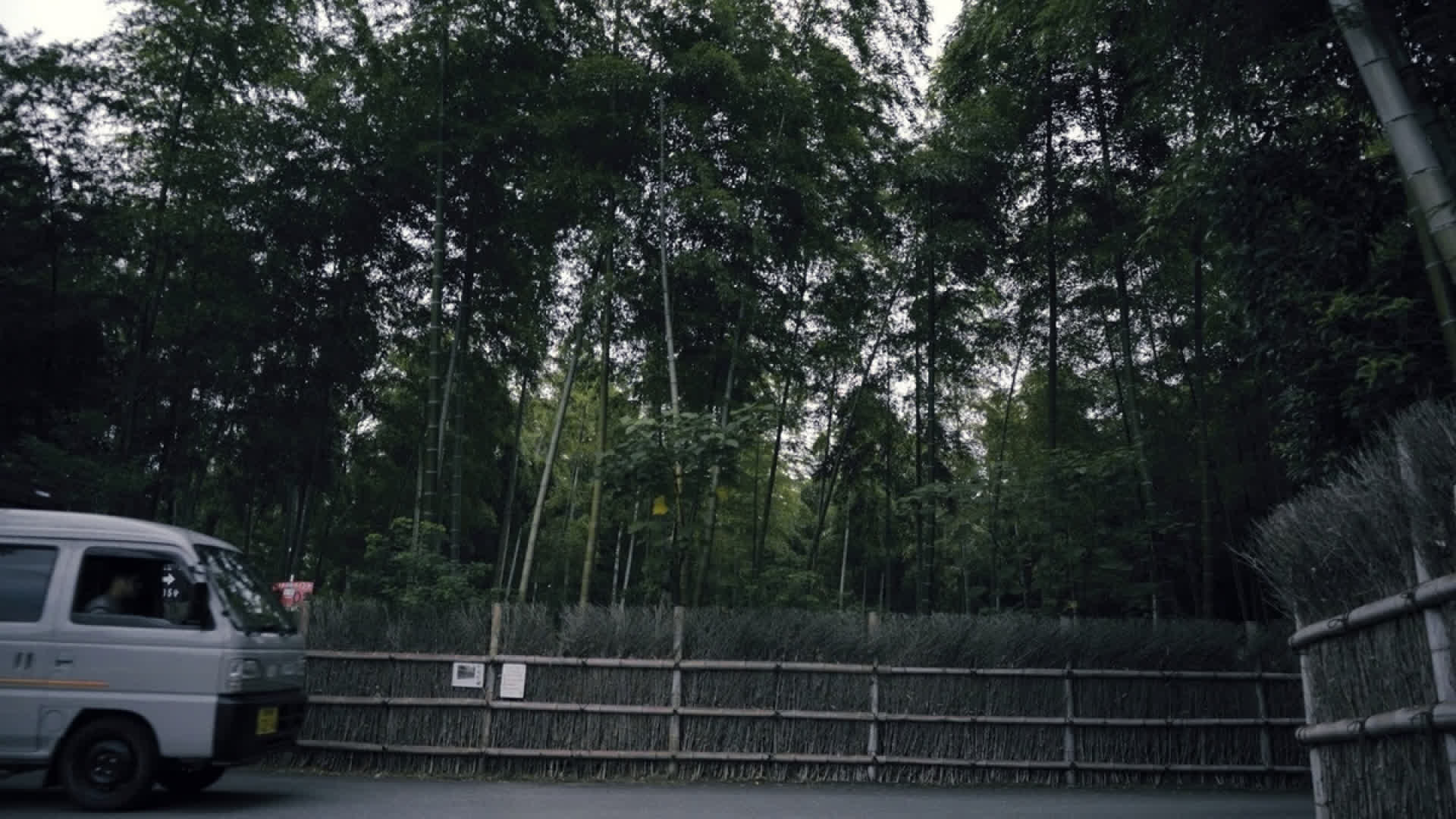 应用 LUT 后预览