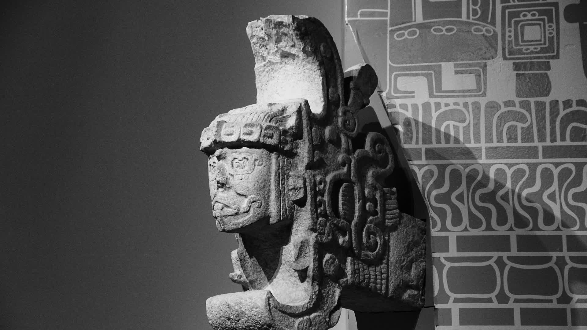 应用 LUT 后预览