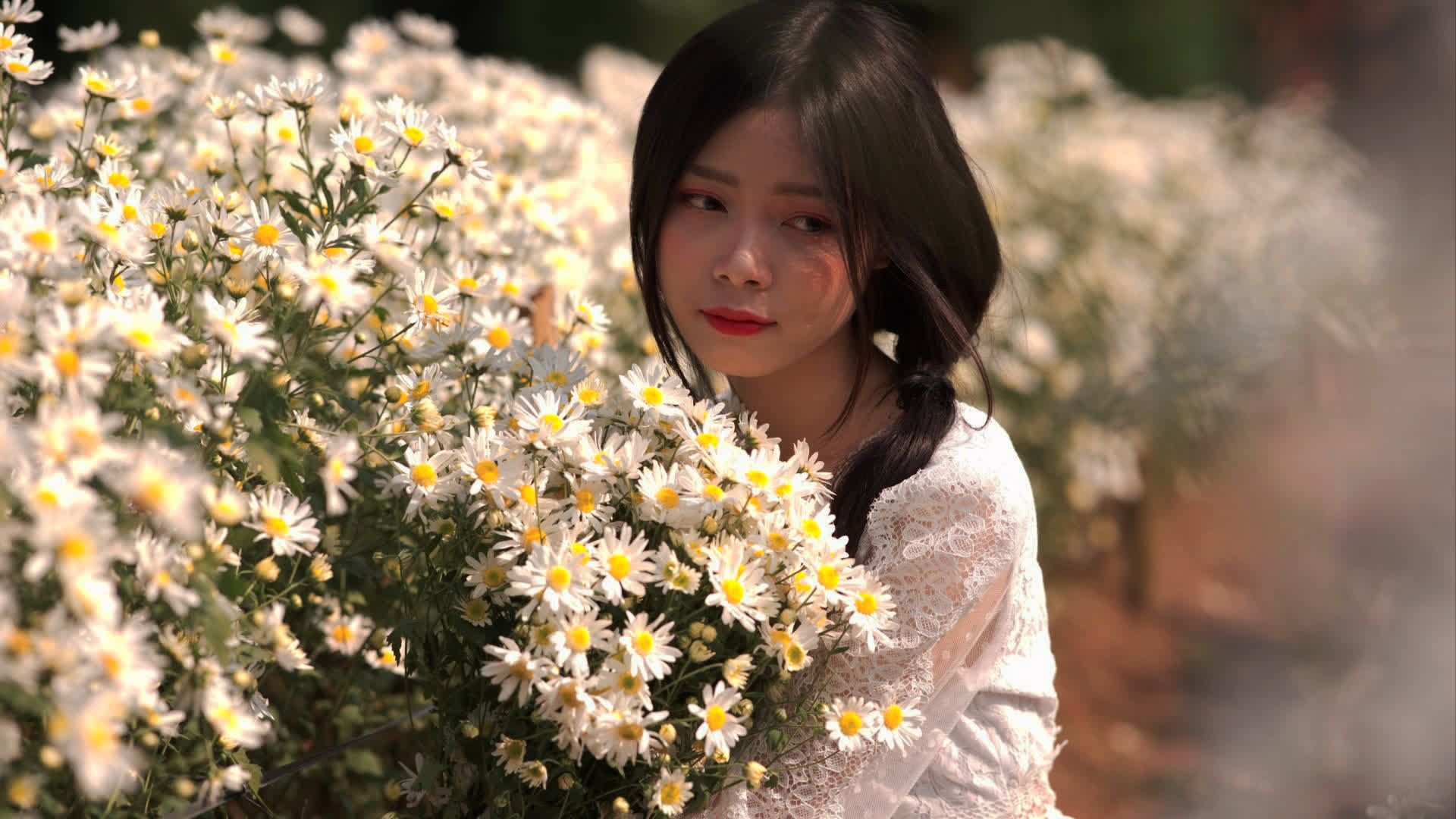 应用 LUT 后预览