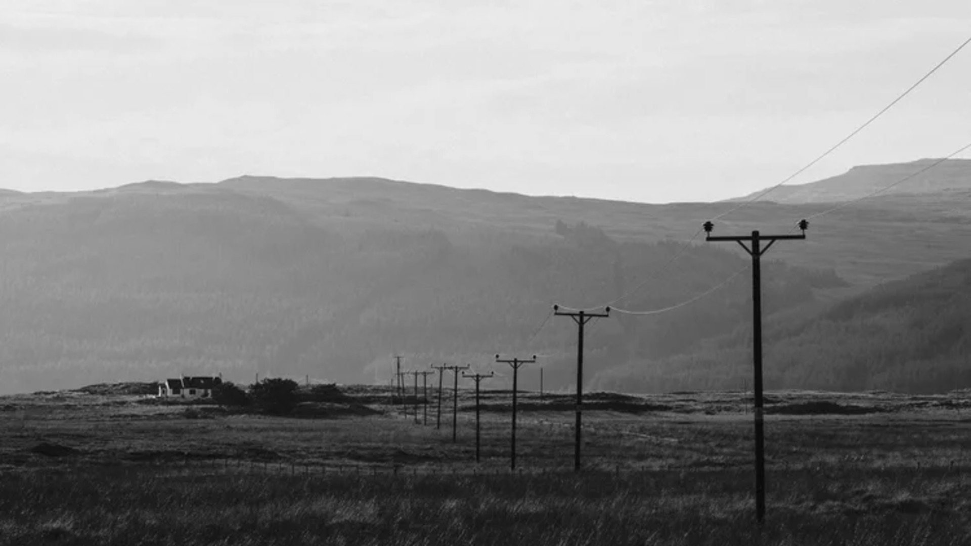 应用 LUT 后预览