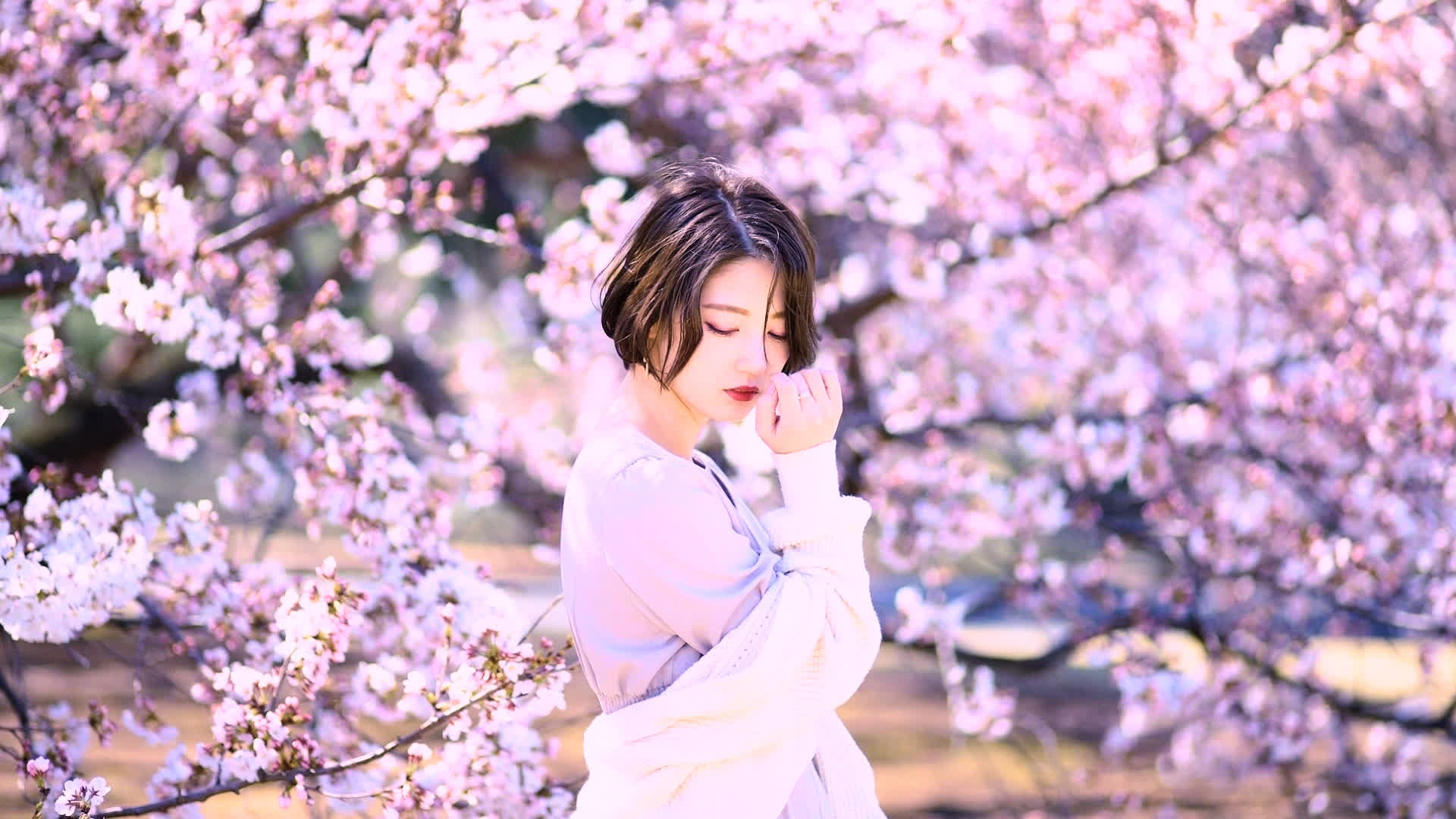 应用 LUT 后预览