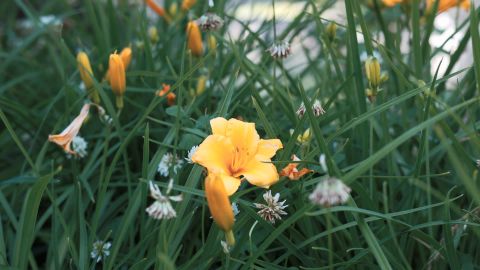 富士Fuji Astia 100F