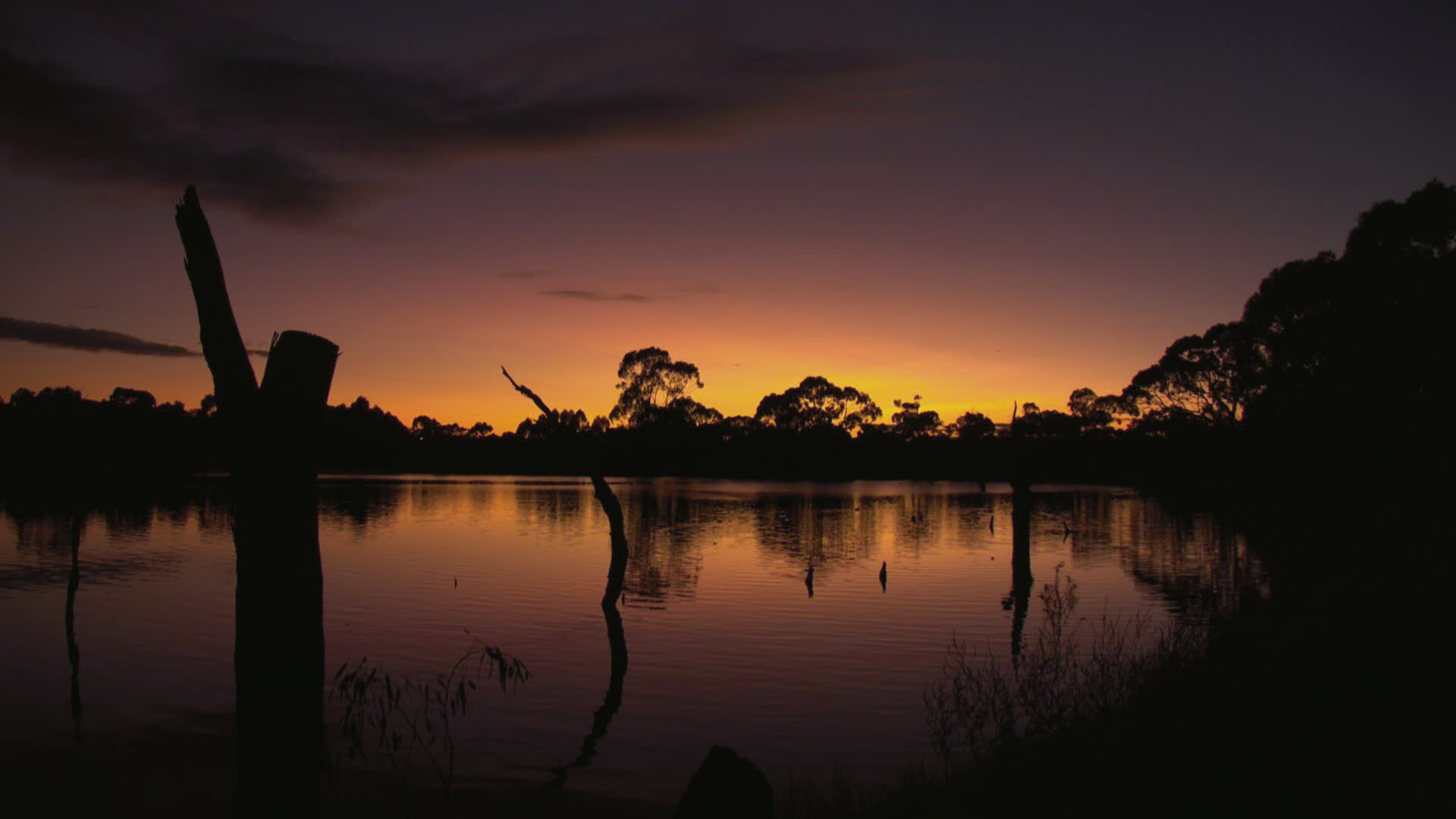 应用 LUT 后预览