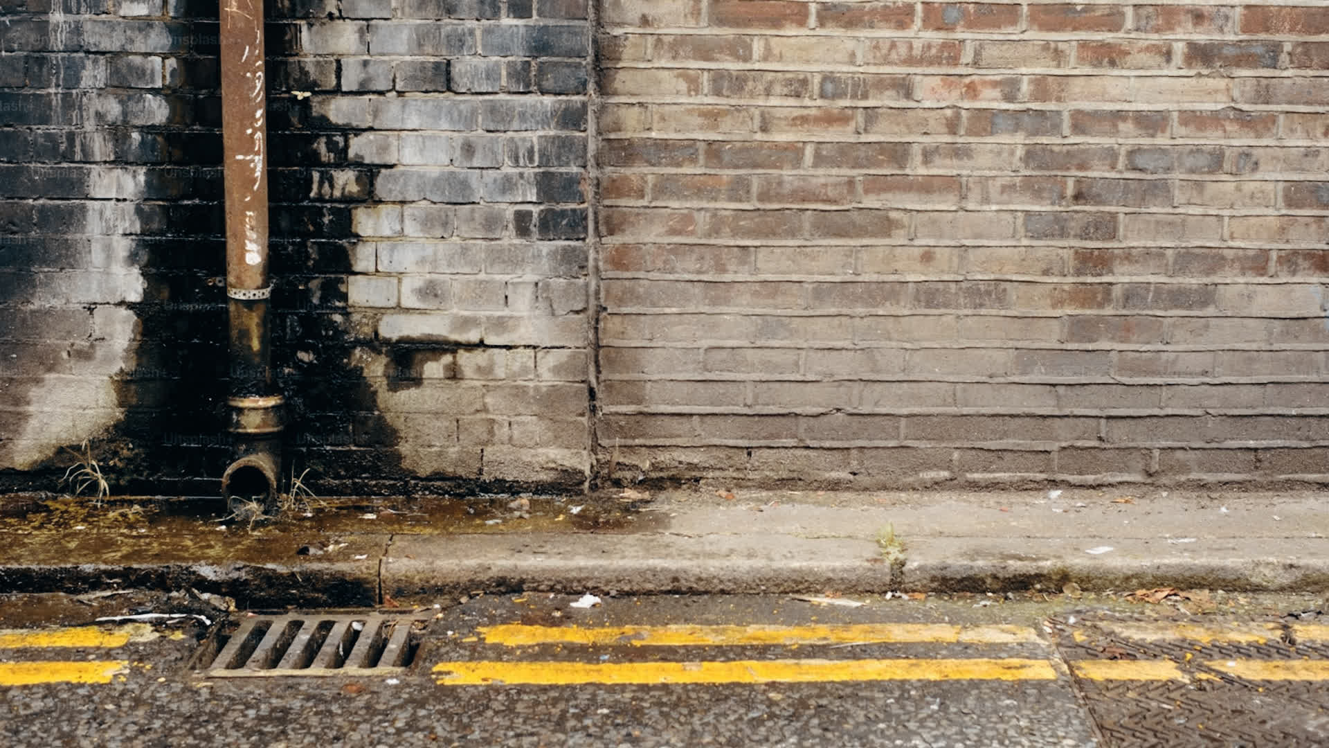 应用 LUT 后预览