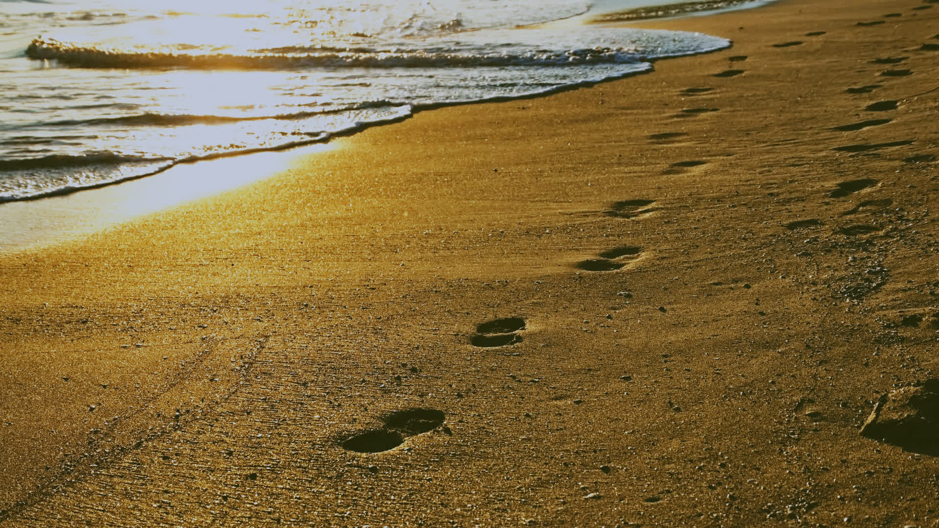 应用 LUT 后预览