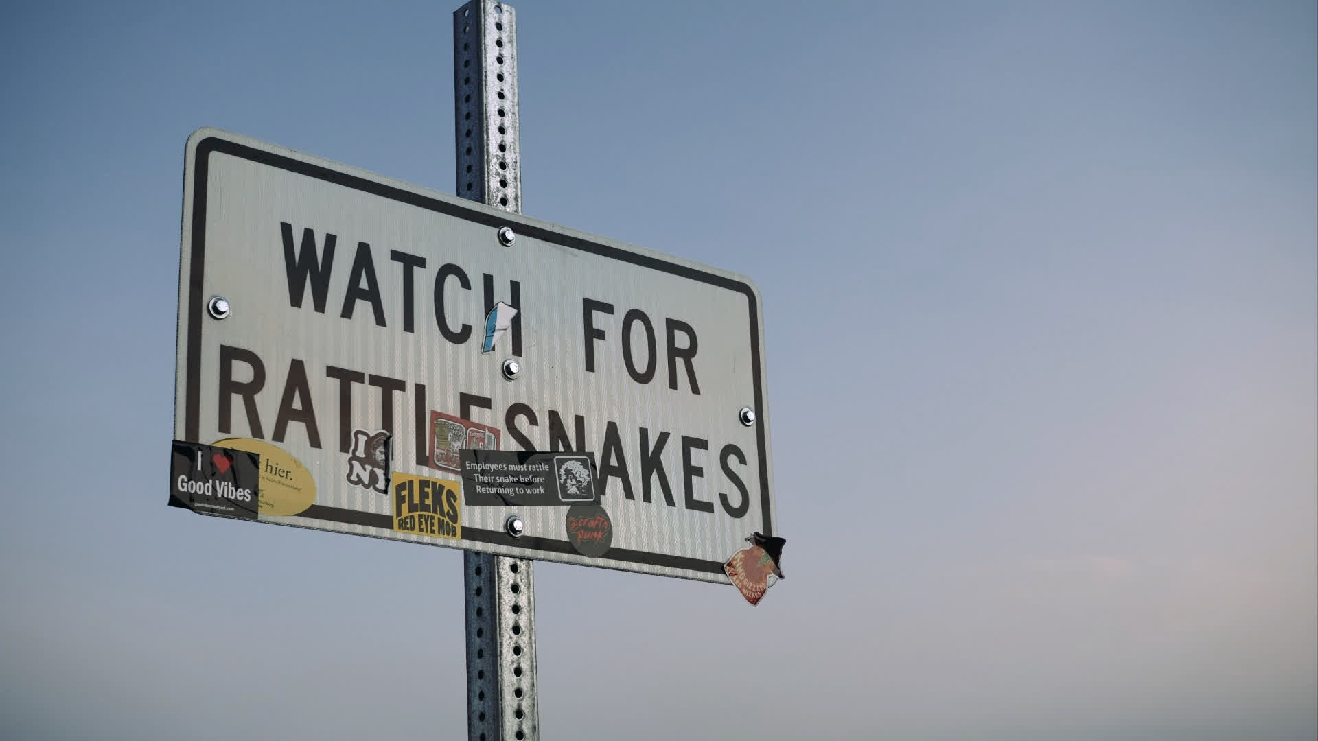 应用 LUT 后预览