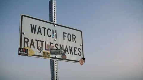 灵感来自Kodak Vision3 5207