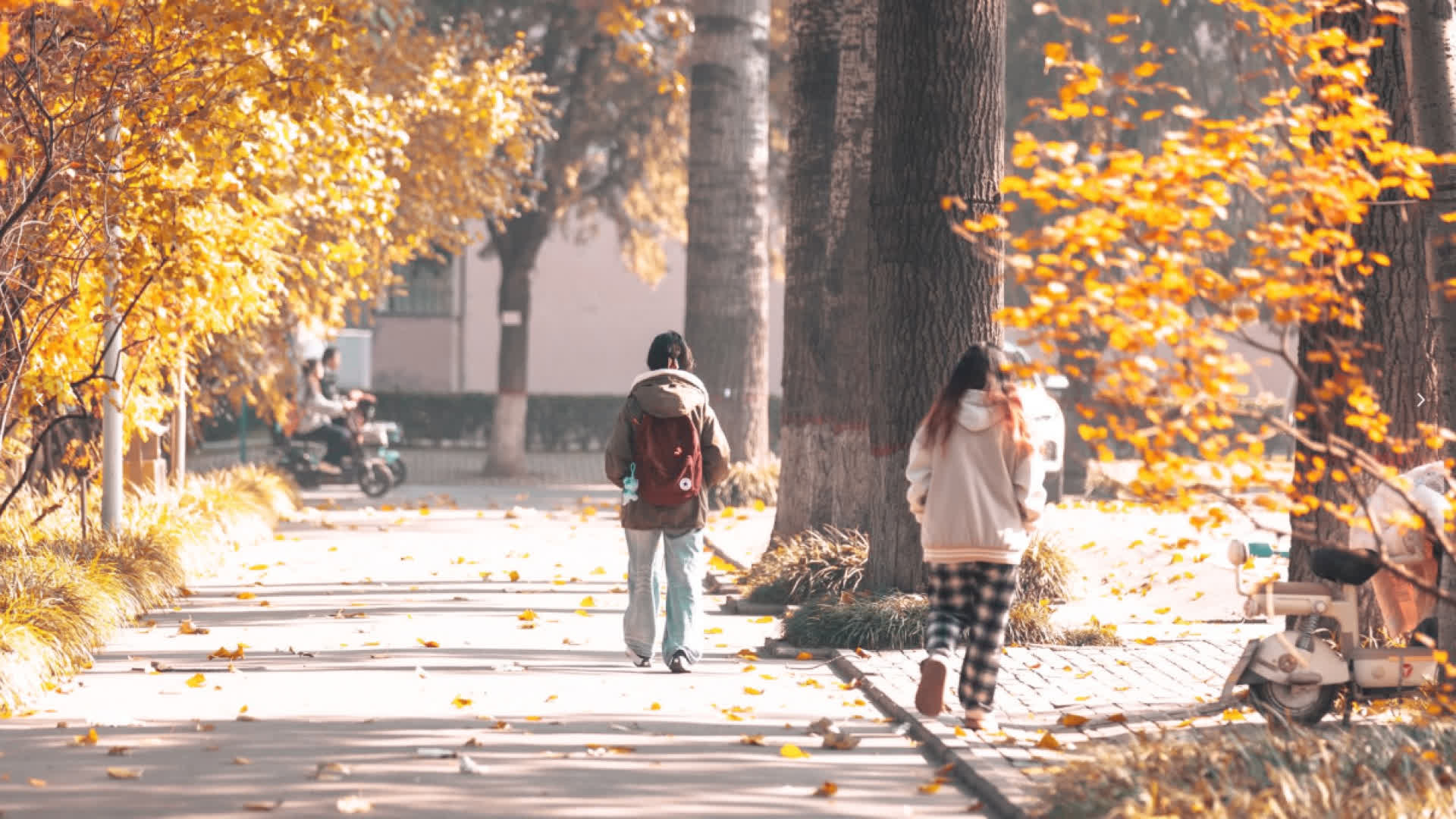 应用 LUT 后预览