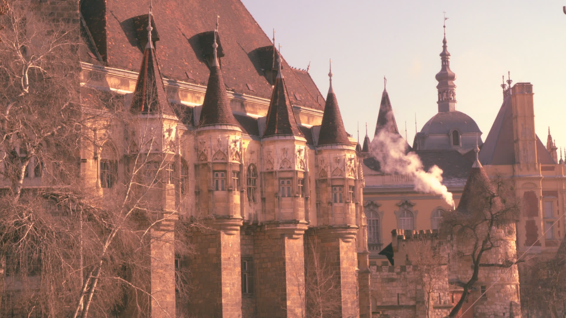 应用 LUT 后预览