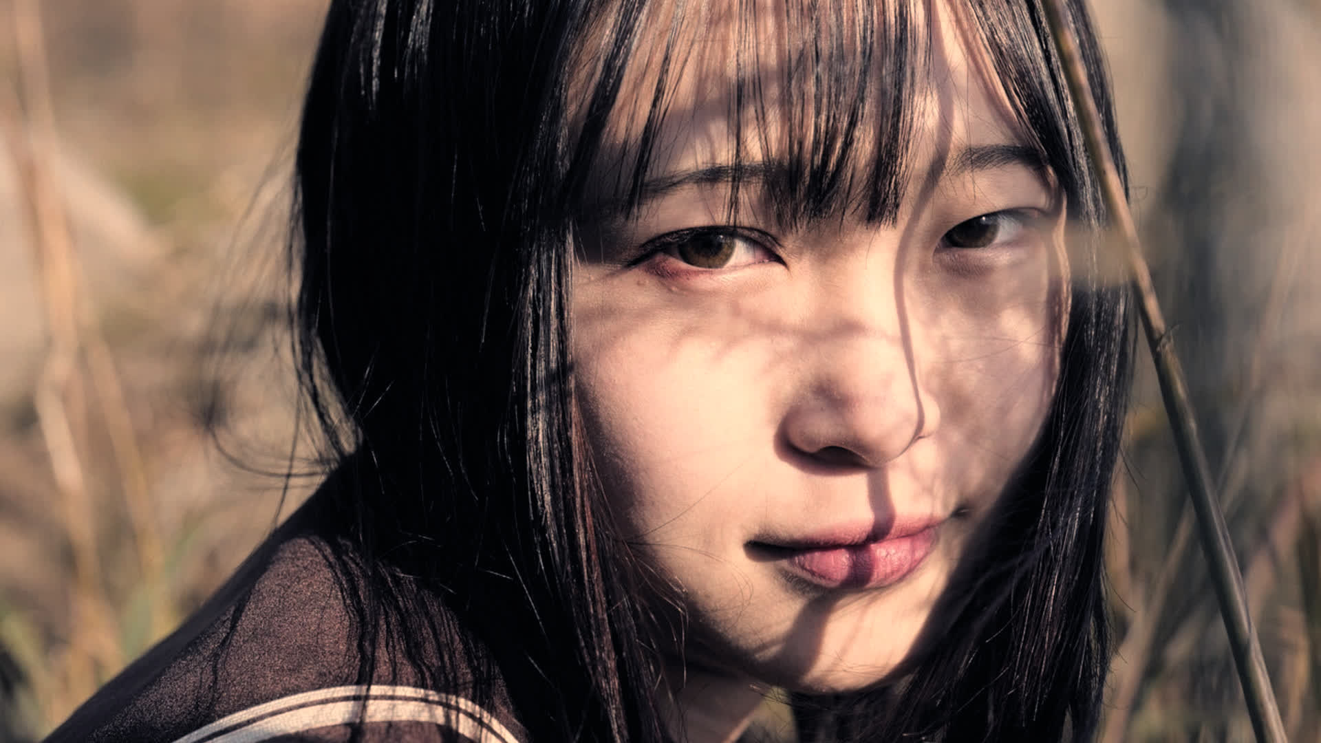 应用 LUT 后预览