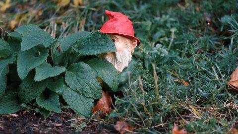 绿色暗色和对比外观