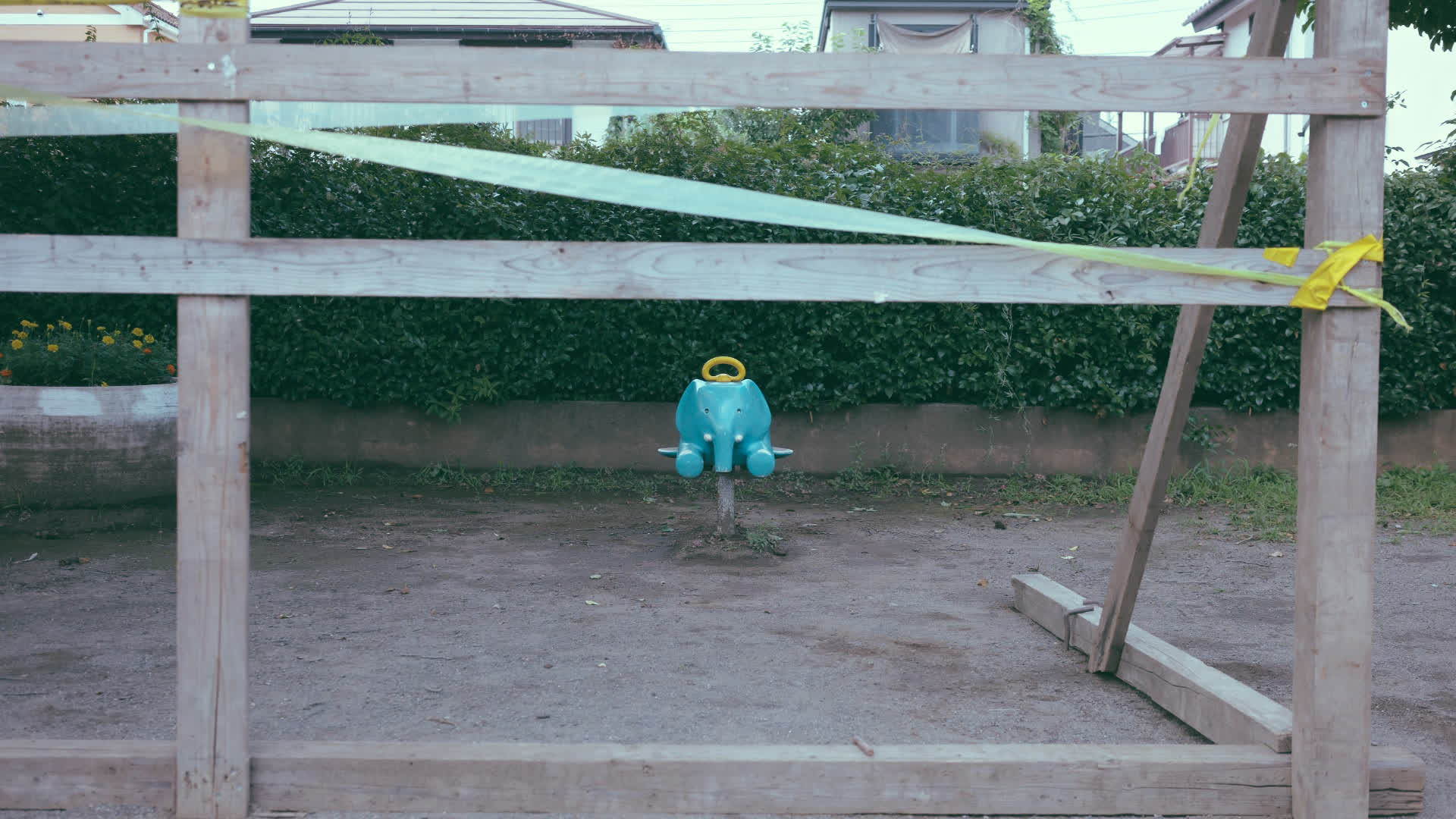 应用 LUT 后预览