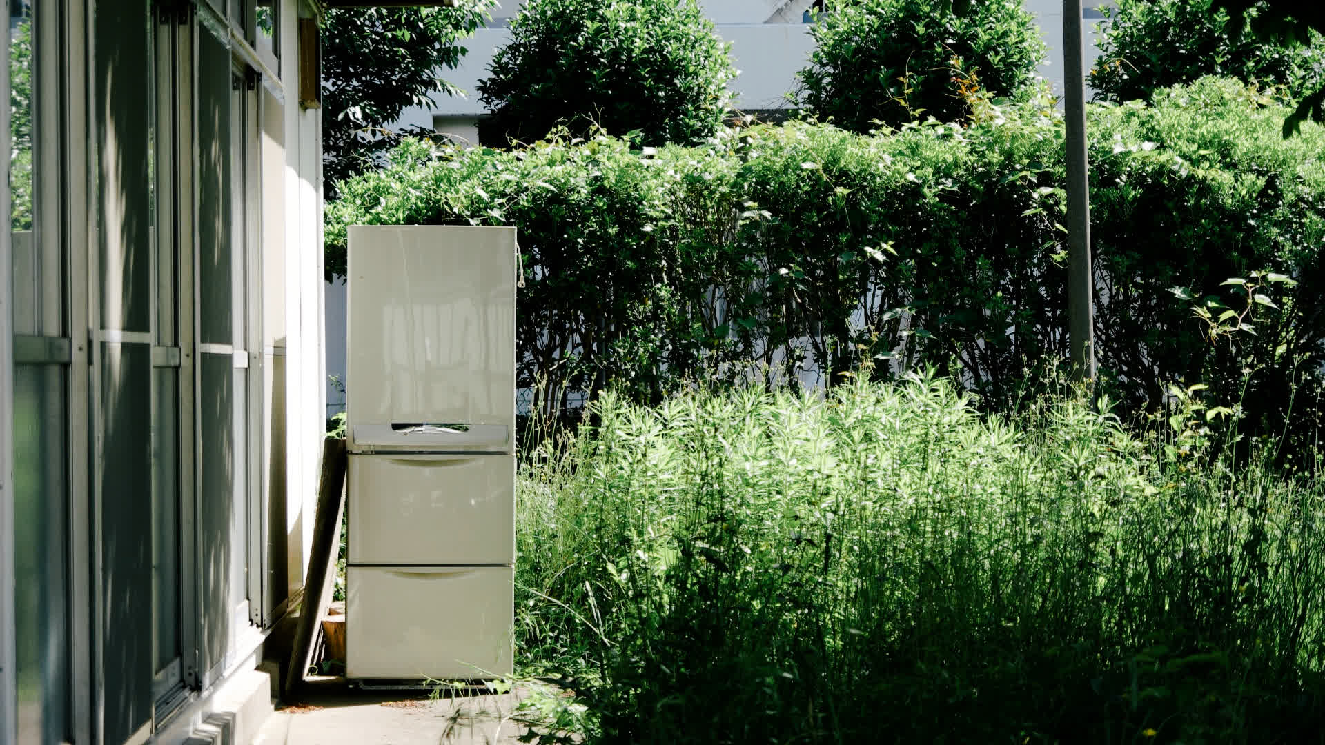 应用 LUT 后预览