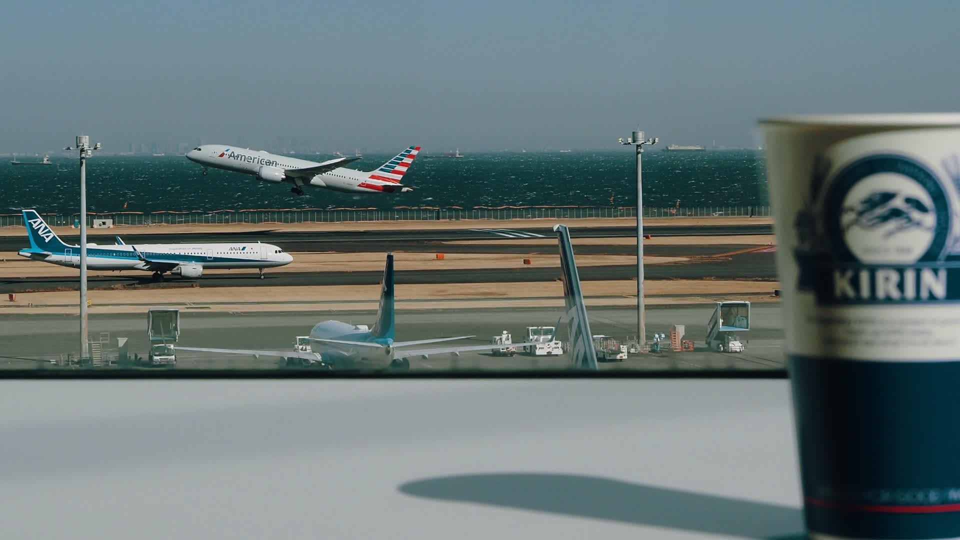 应用 LUT 后预览