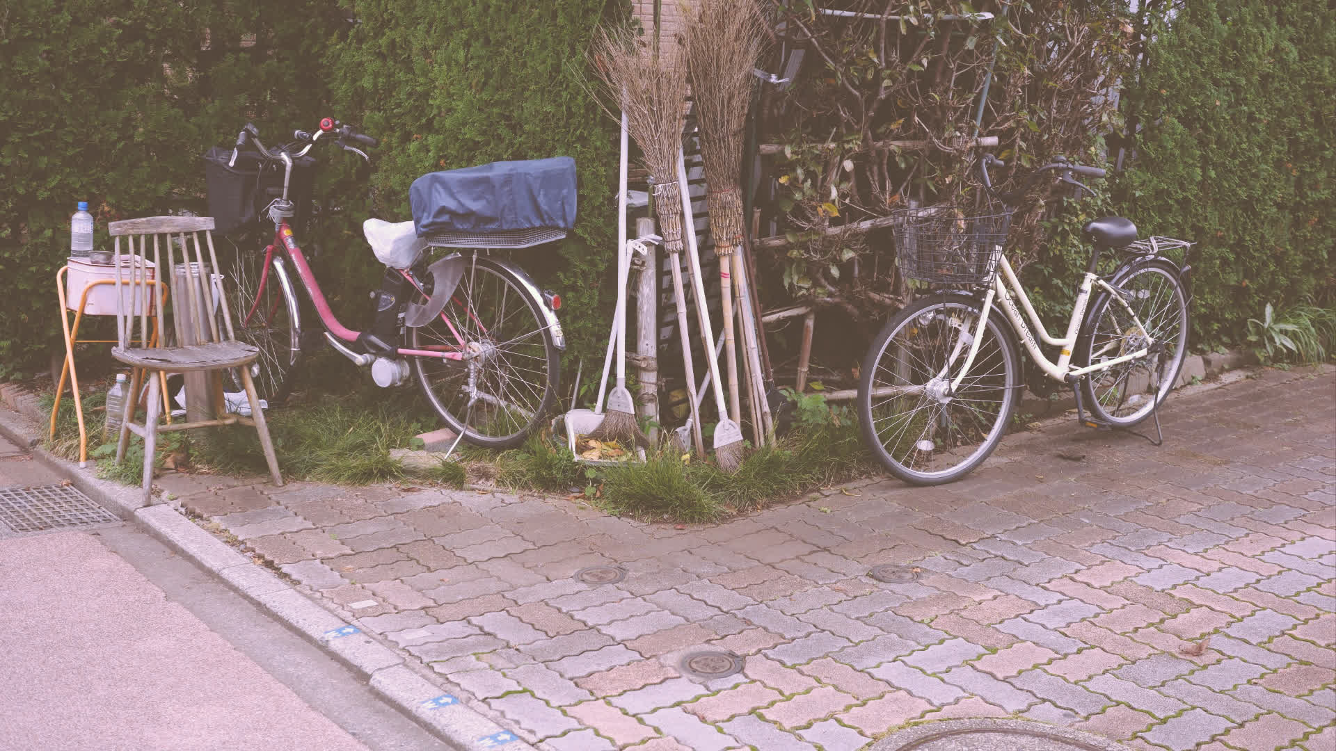 应用 LUT 后预览