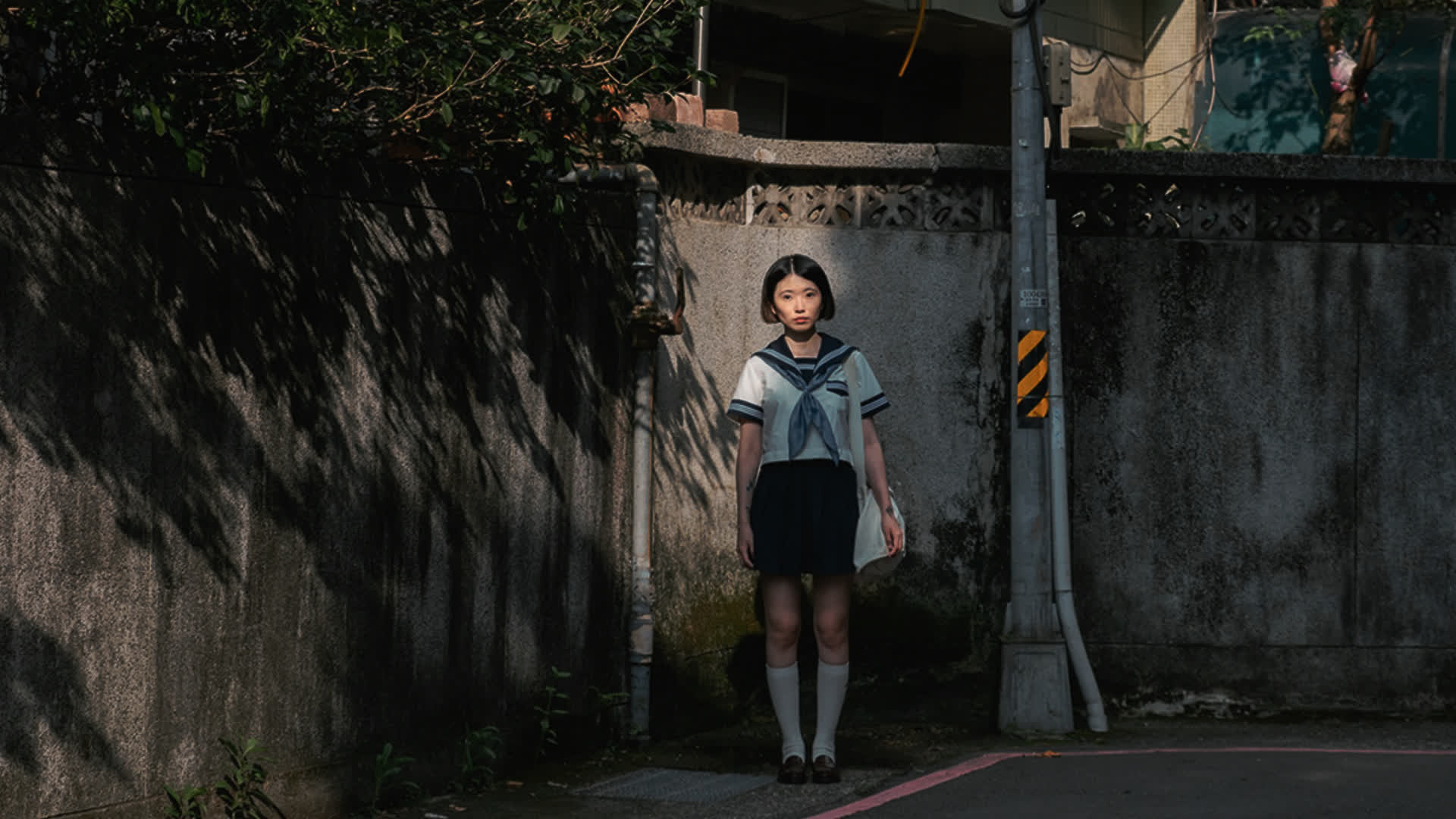 应用 LUT 后预览