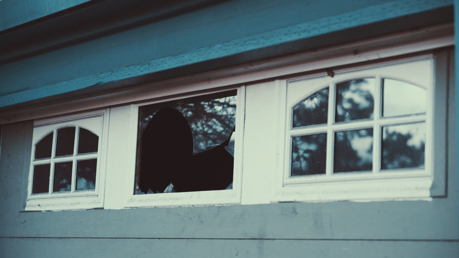 应用 LUT 后预览