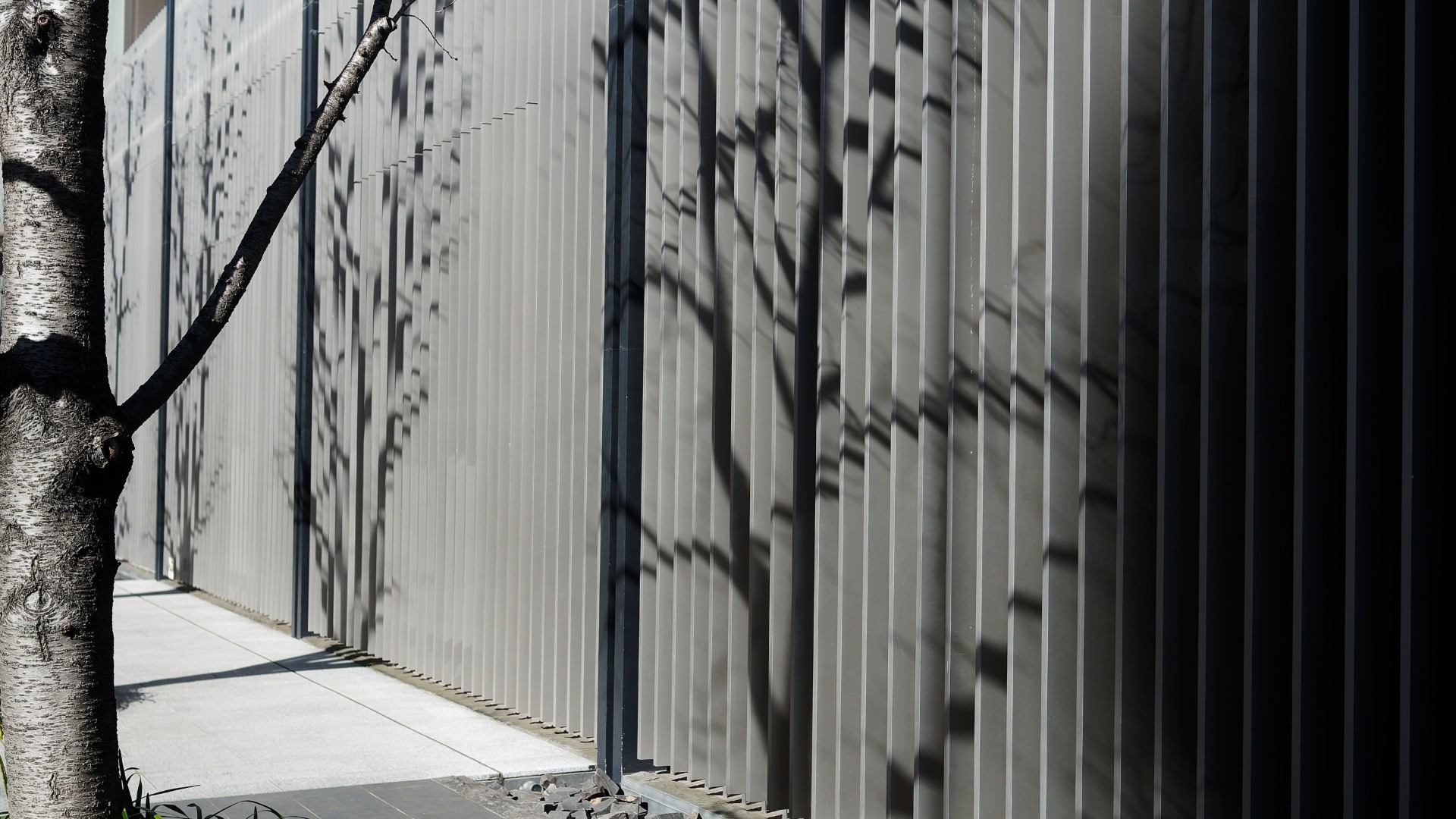 原始预览