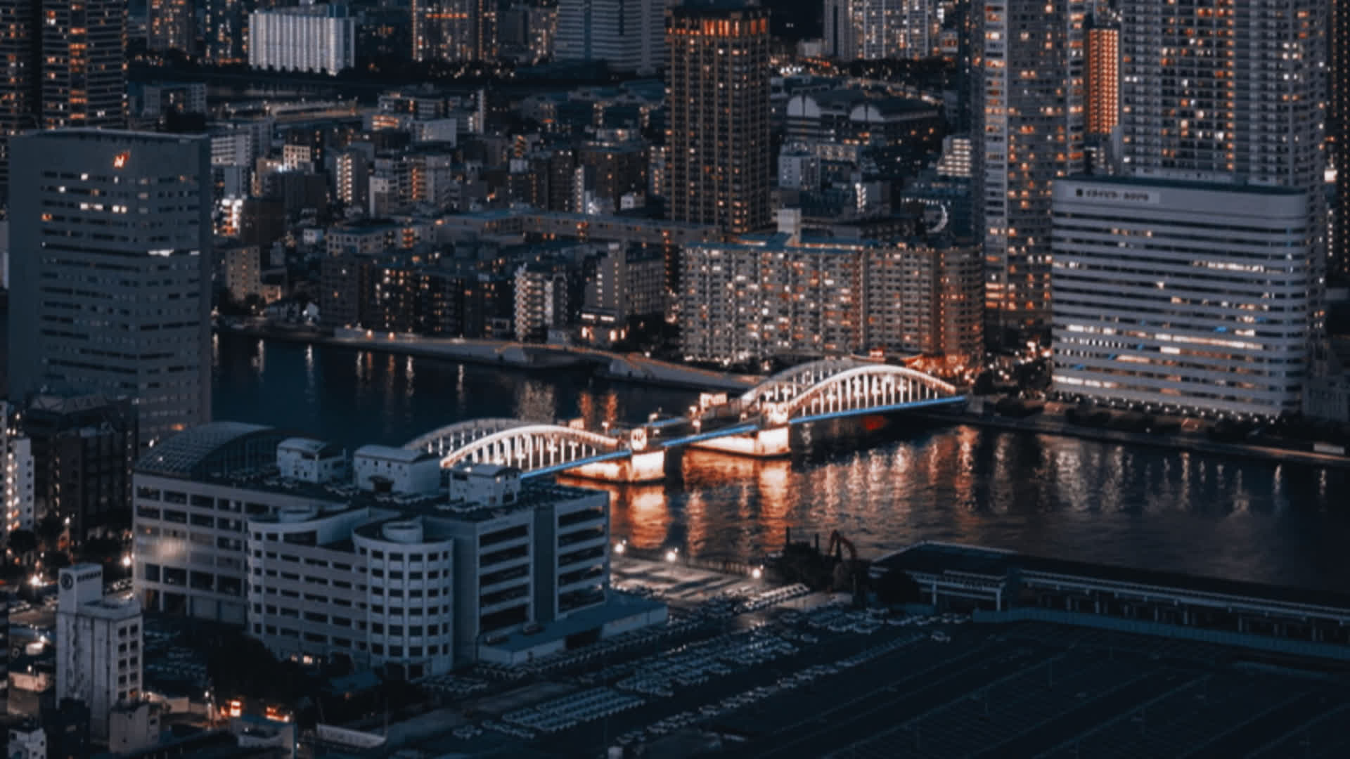 应用 LUT 后预览