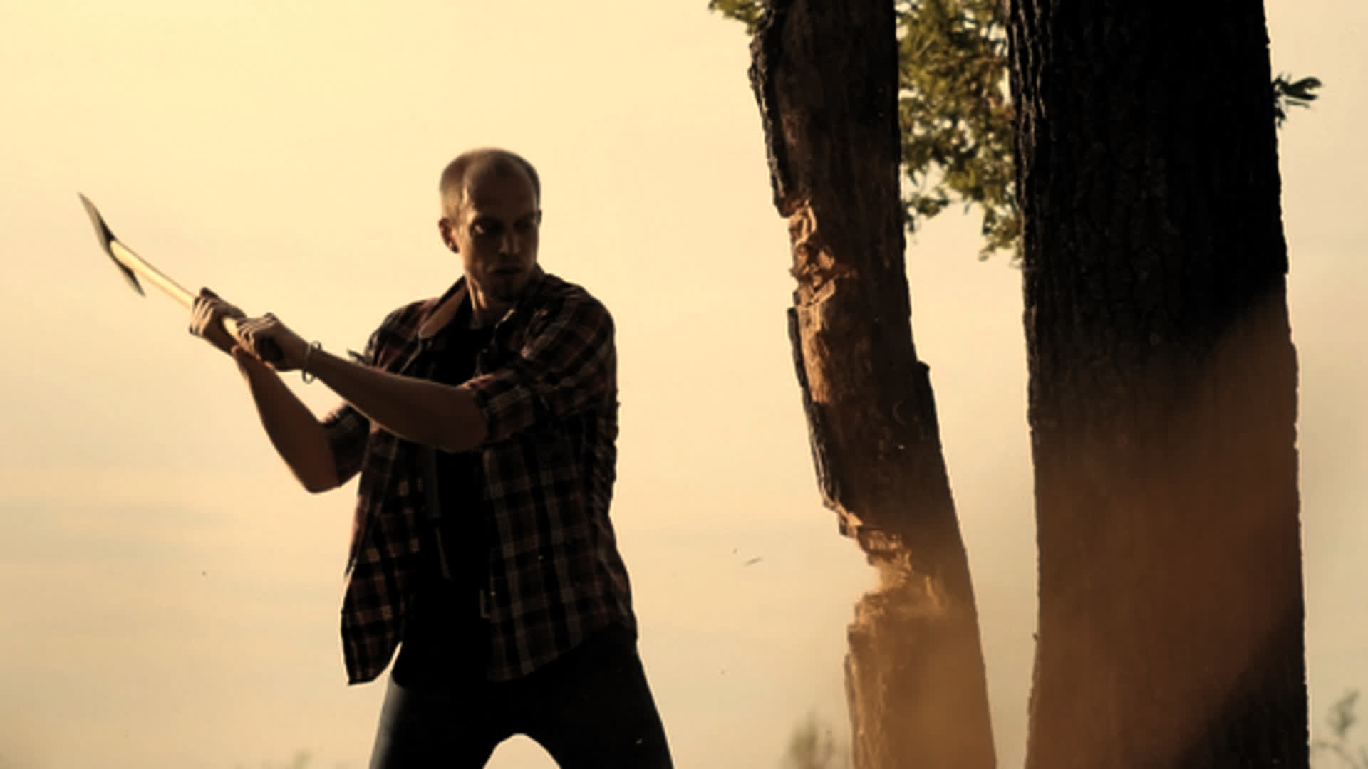 应用 LUT 后预览