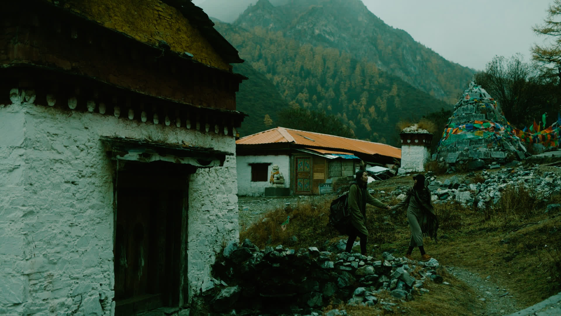 应用 LUT 后预览