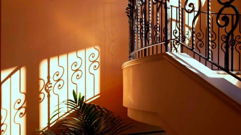 冷青霓虹夜行电影