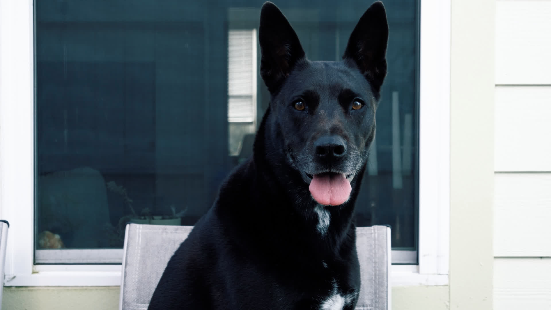 应用 LUT 后预览