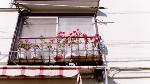 宝丽来Polaroid 690 Warm1-20