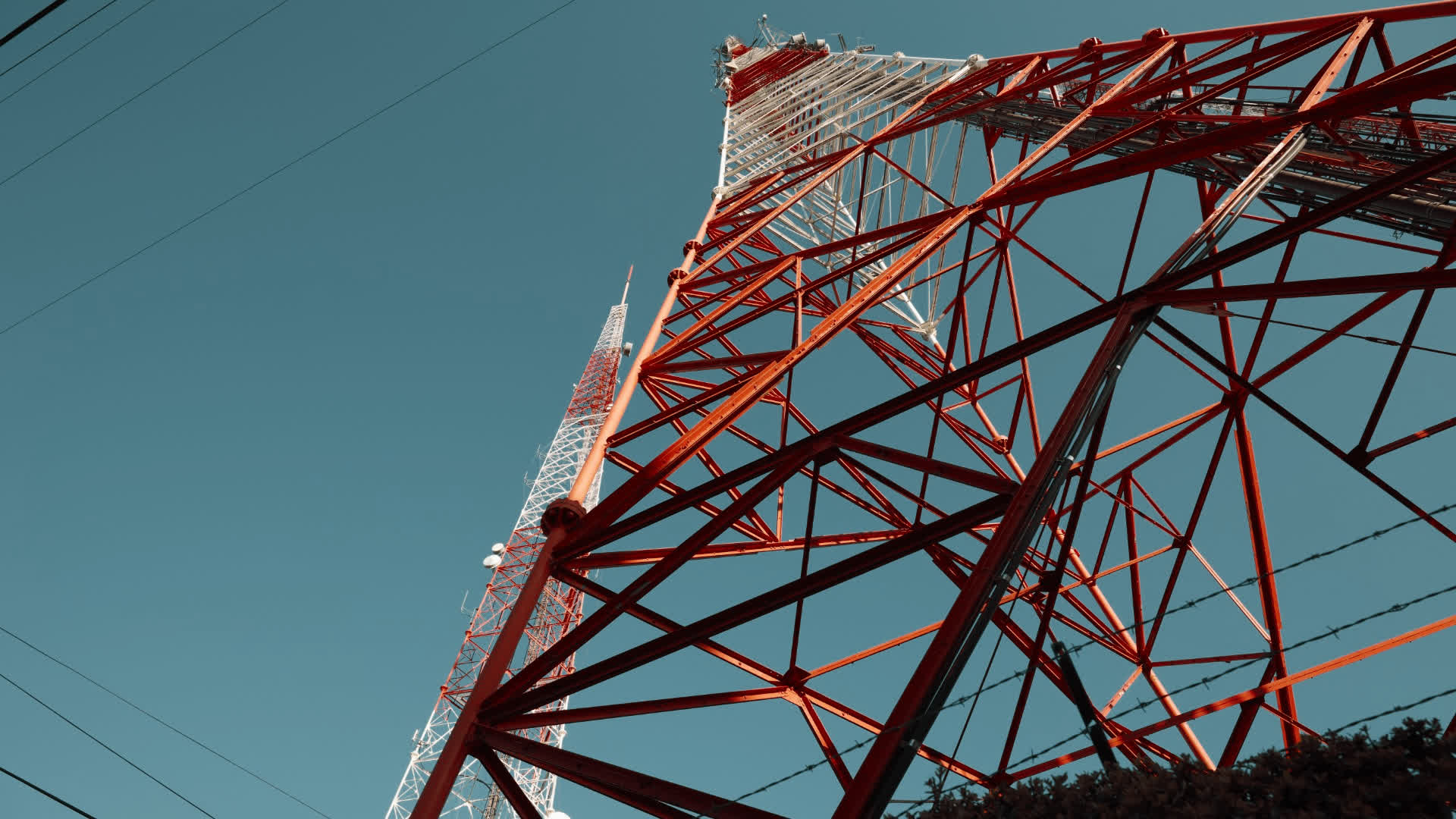 应用 LUT 后预览