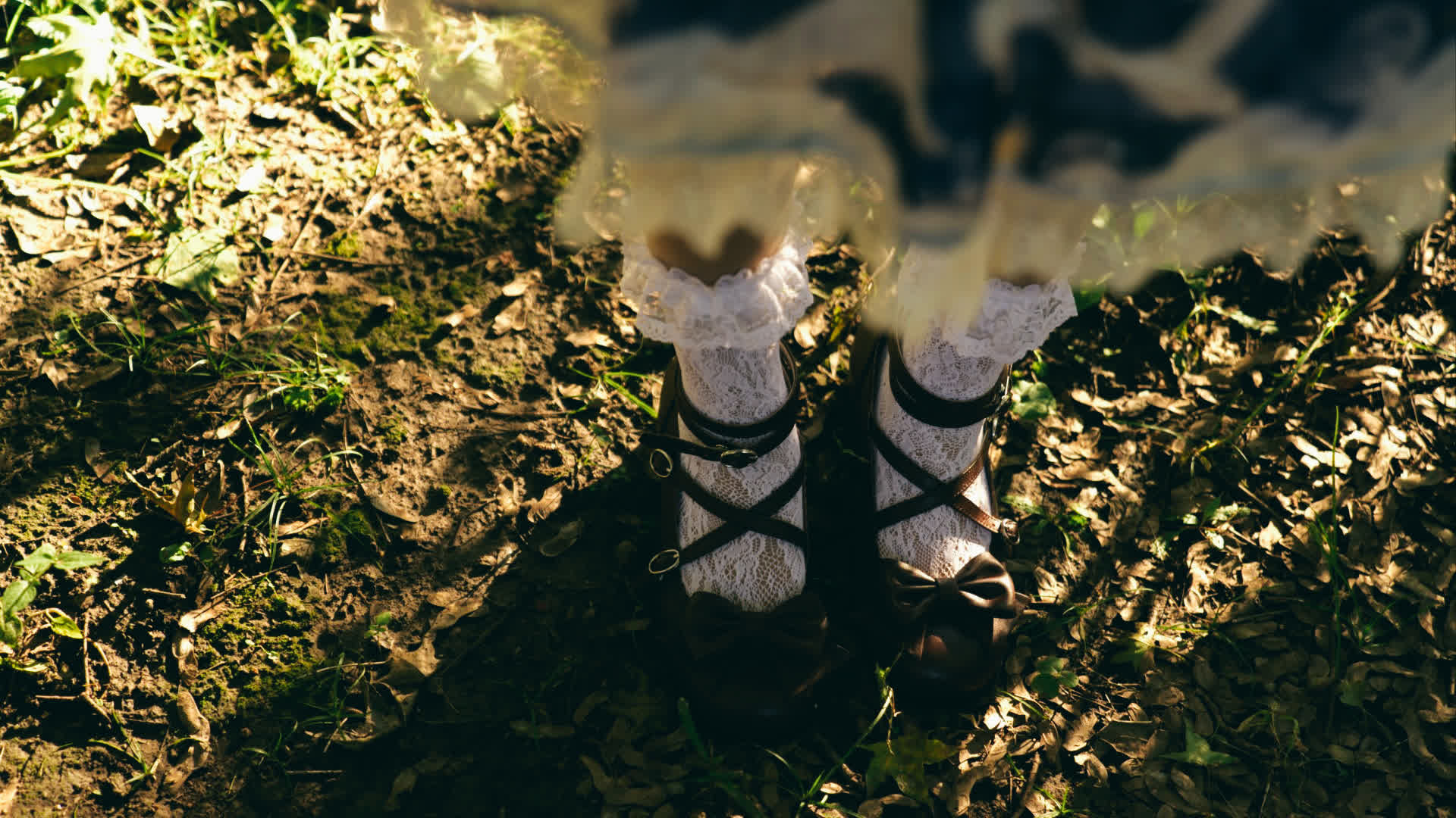 应用 LUT 后预览