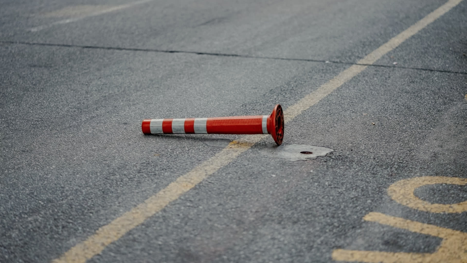 应用 LUT 后预览