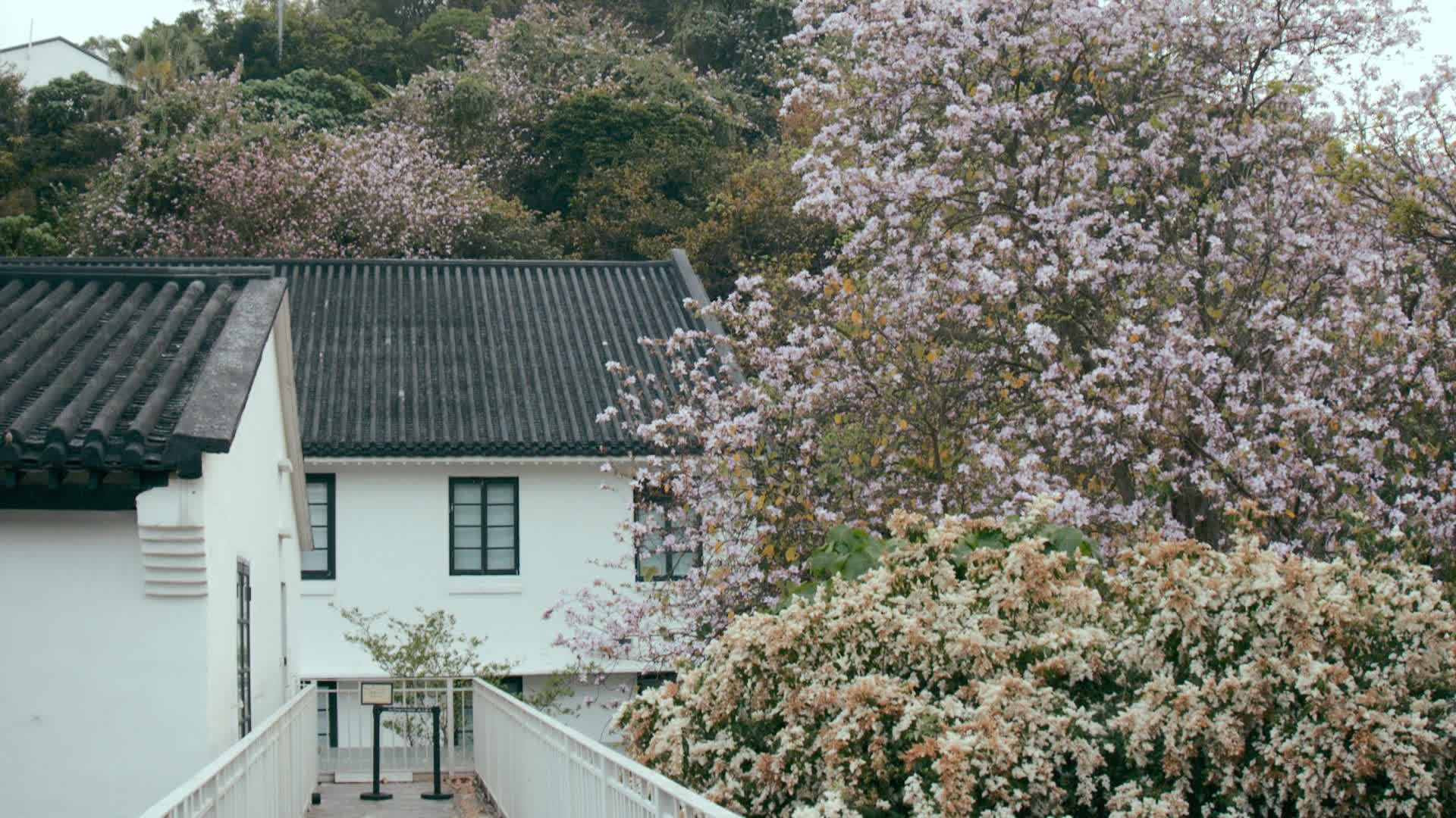 应用 LUT 后预览