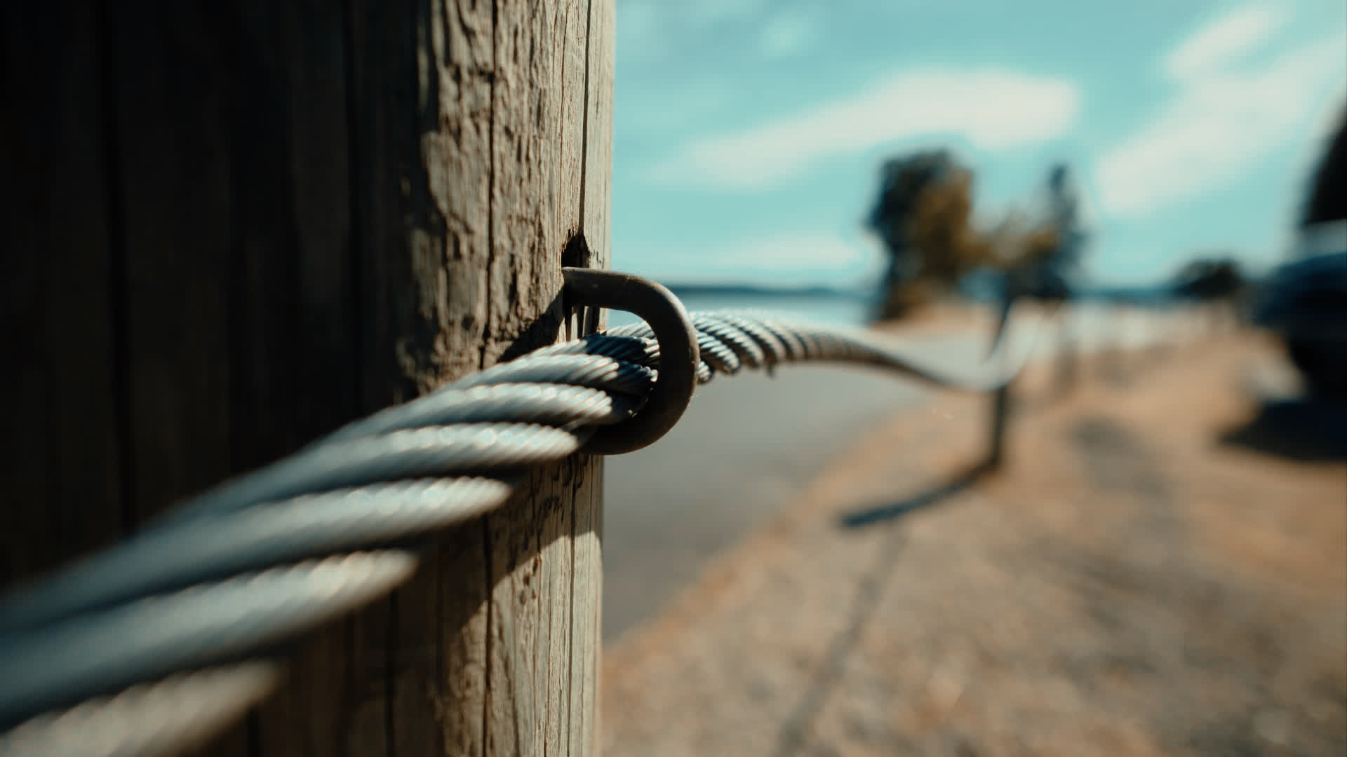 应用 LUT 后预览