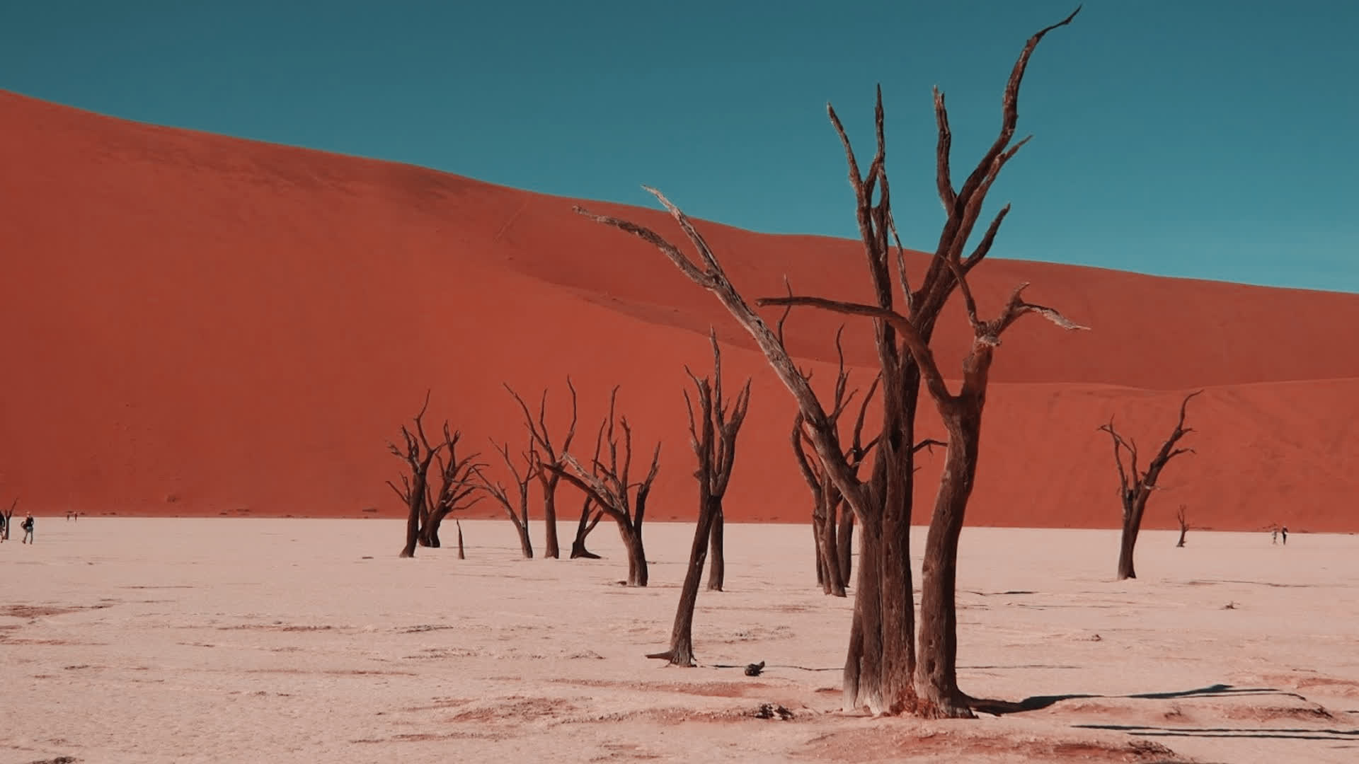 应用 LUT 后预览