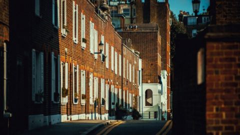 Vision 4 标准电影基线