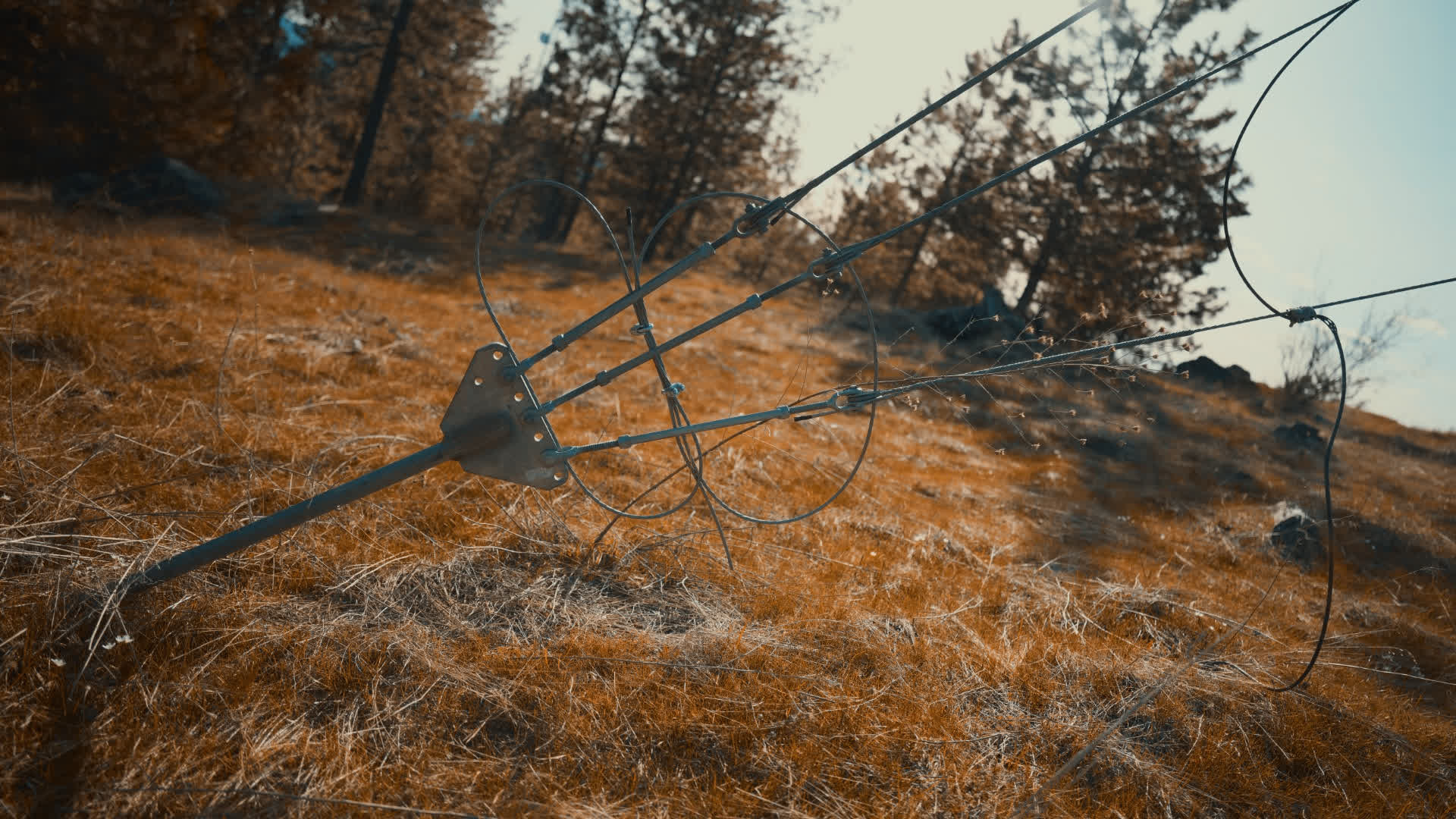 应用 LUT 后预览