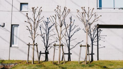 柯达 Portra 160 NC 4 ++