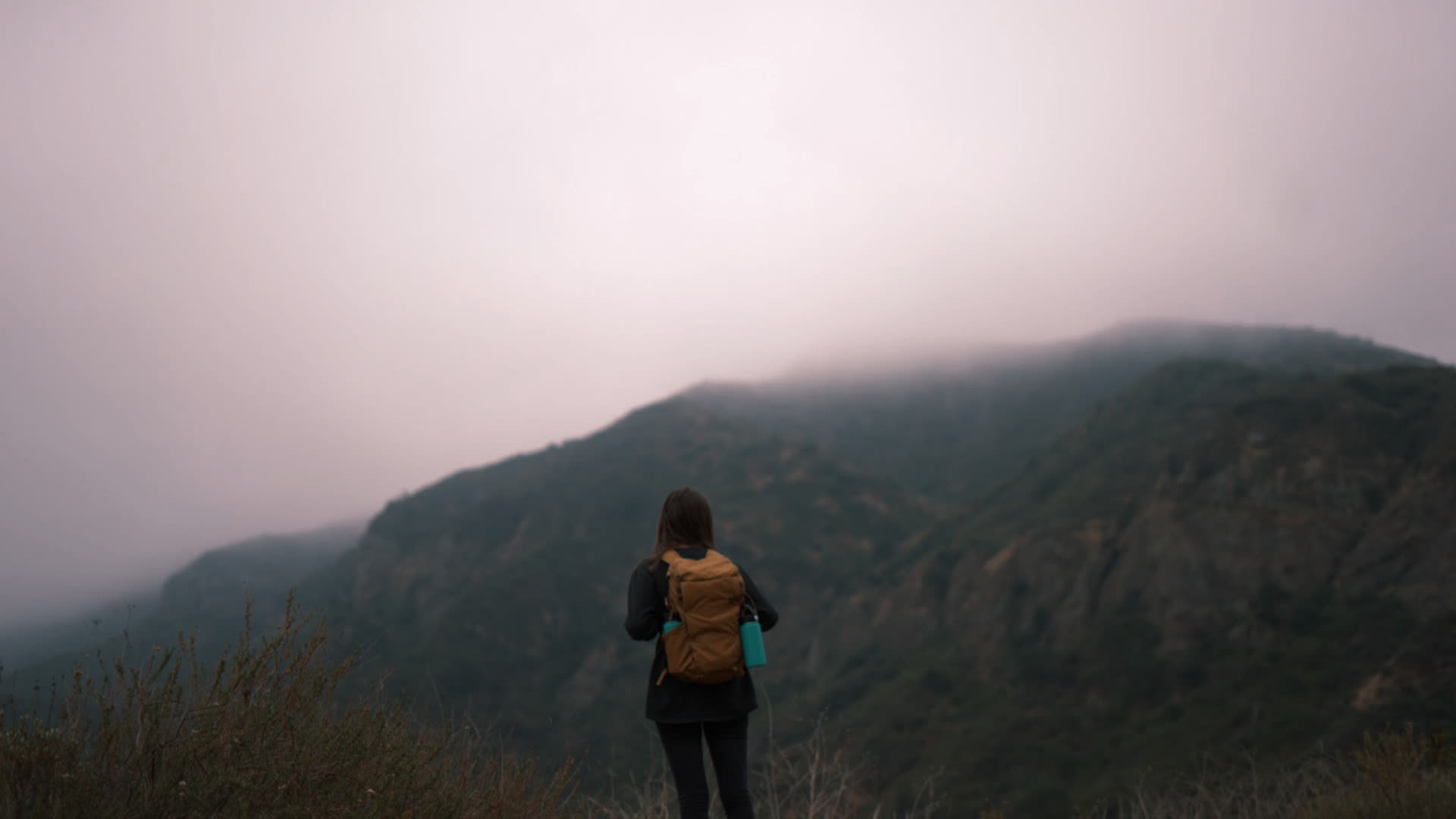 应用 LUT 后预览