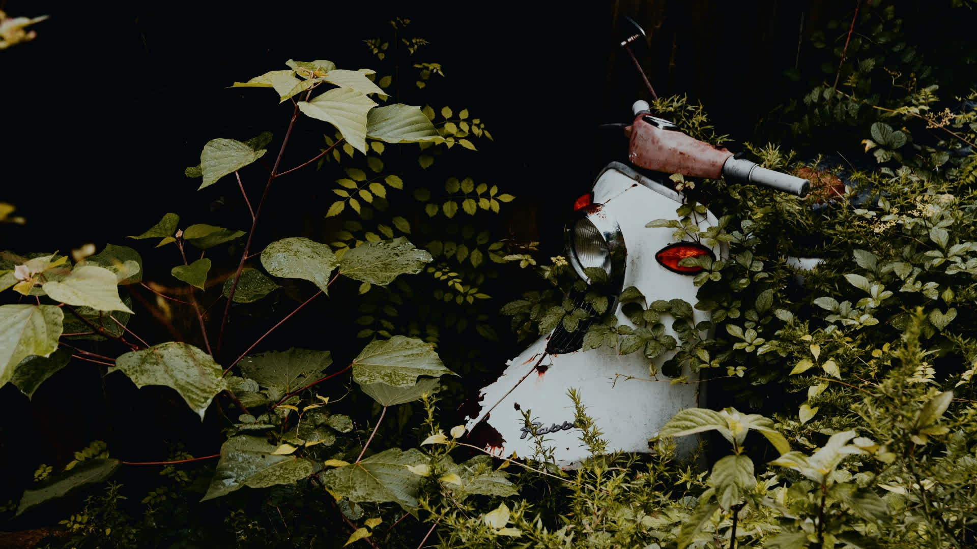 应用 LUT 后预览