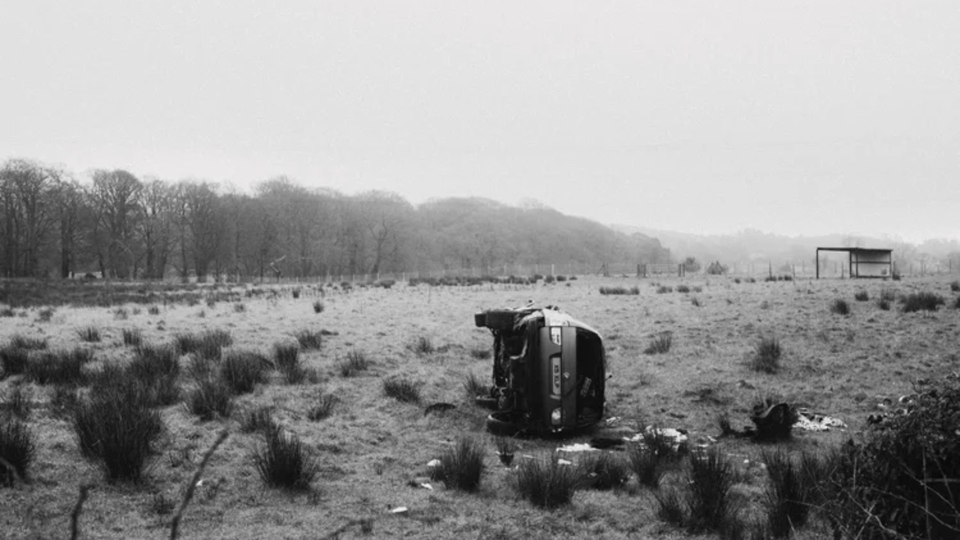 应用 LUT 后预览