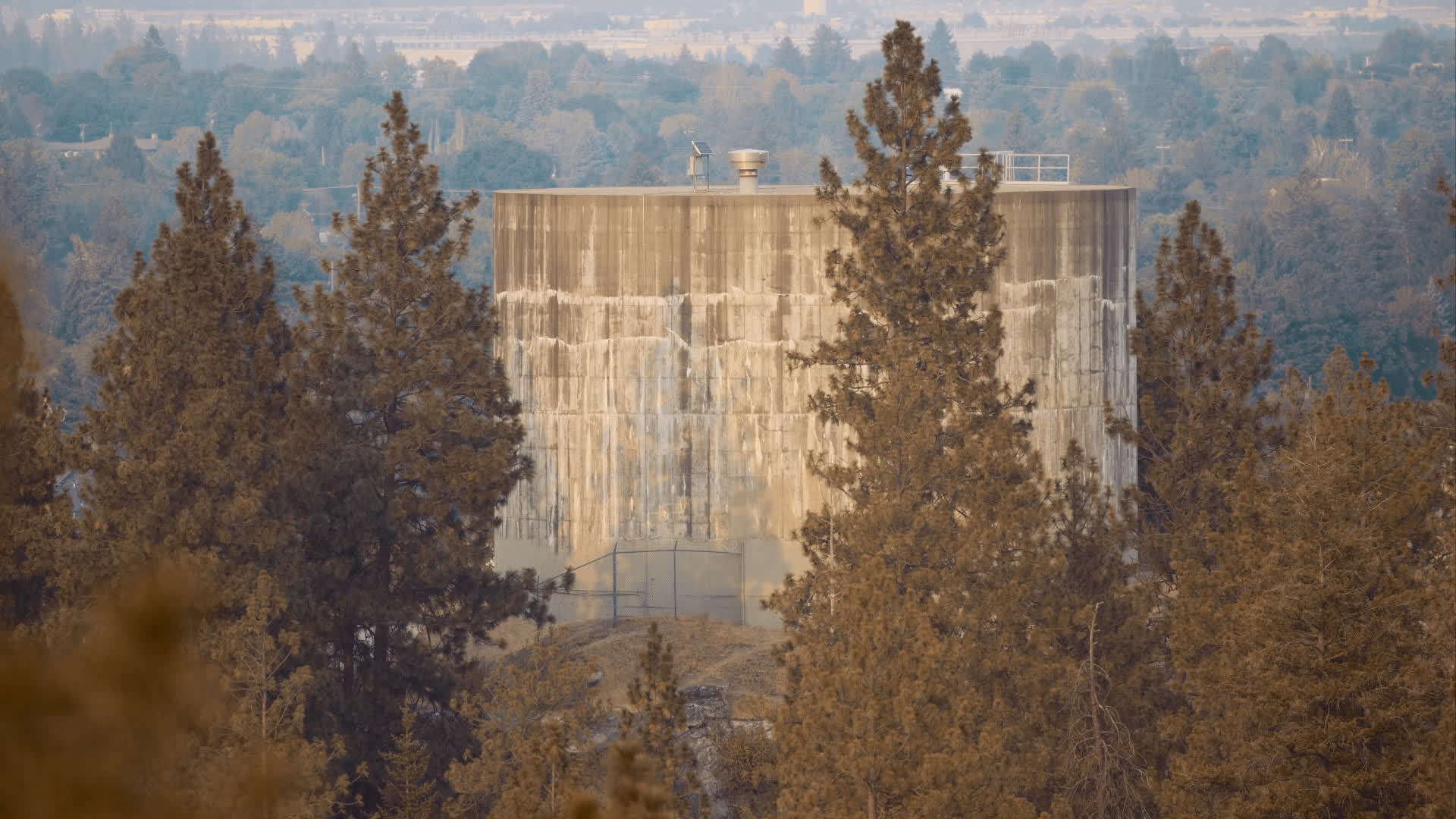 应用 LUT 后预览