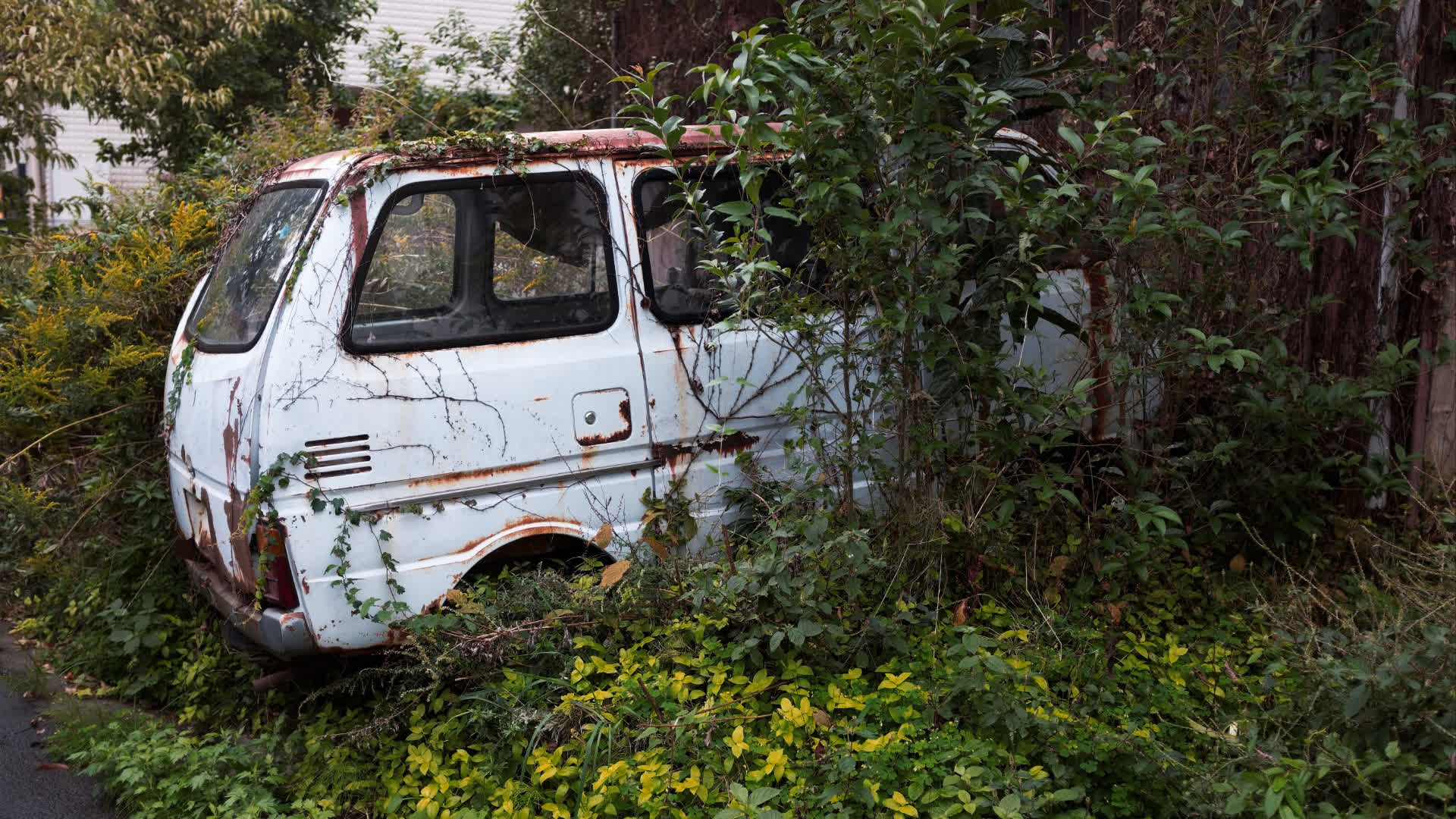 应用 LUT 后预览